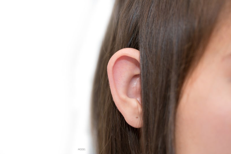 Close-up of a young girl with a large ears sticking out of her hair.